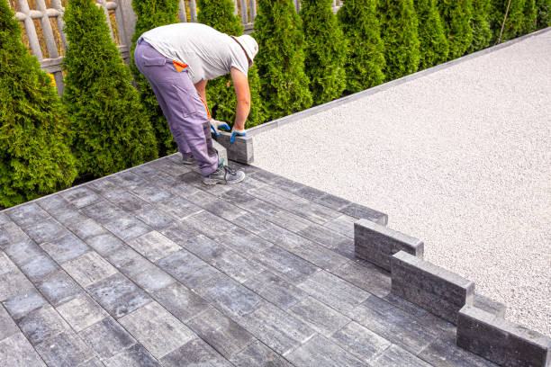 Best Local Driveway Pavers  in Shadybrook, TX