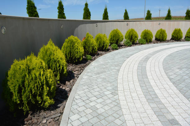 Best Cobblestone Driveway Pavers  in Shadybrook, TX