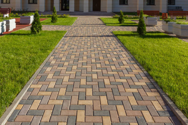 Best Driveway Pavers Near Me  in Shadybrook, TX